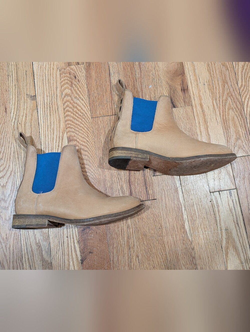 Free People x Farylrobin Tan Leather Chelsea Booties with Blue Elastic Panels